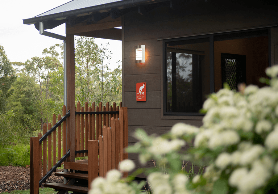 Red Kangaroo Cabin 6