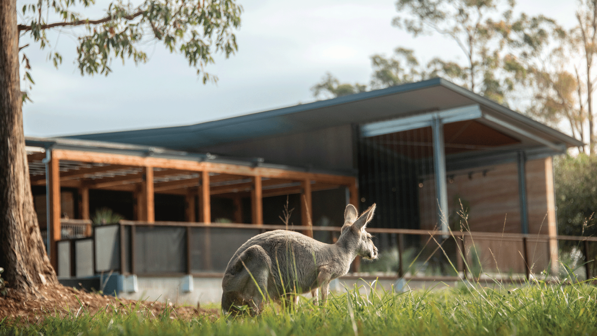 About | The Crocodile Hunter Lodge