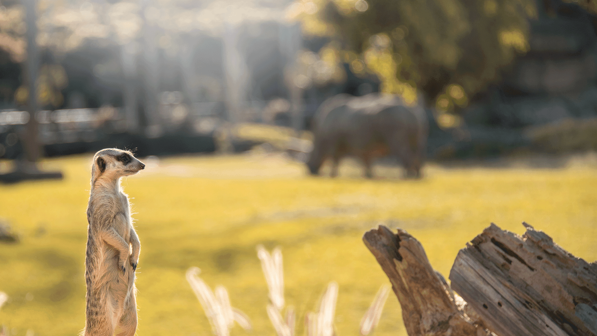 Exclusive Packages | The Crocodile Hunter Lodge
